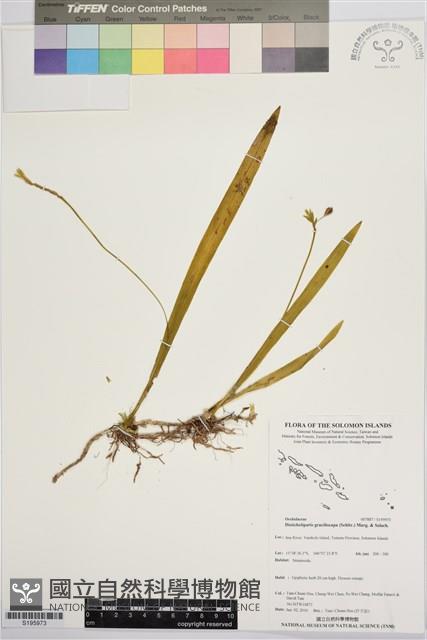 登錄號:S195973藏品圖，第1張