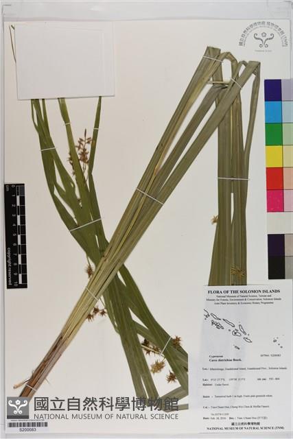 登錄號:S200083藏品圖，第1張