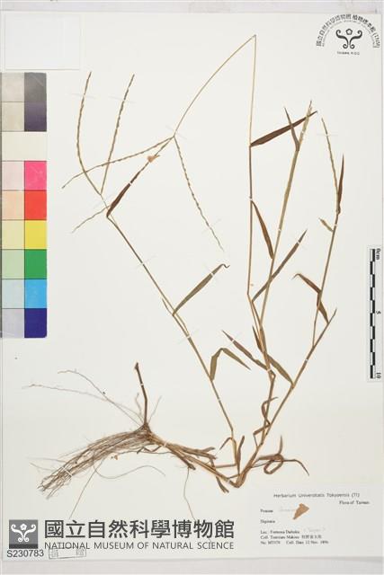 登錄號:S230783藏品圖，第1張