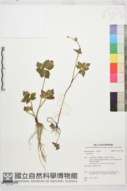 登錄號:S211783藏品圖，第1張