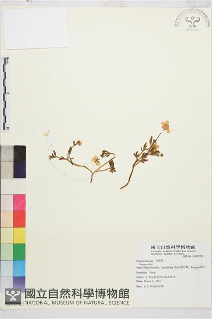 登錄號:S071783藏品圖，第1張