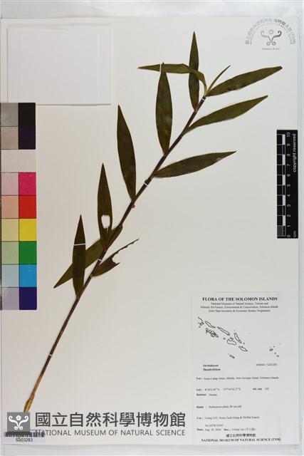 登錄號:S203283藏品圖，第1張