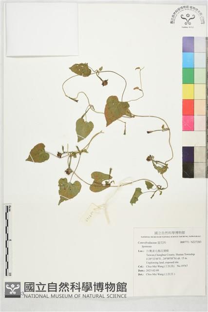 登錄號:S227283藏品圖，第1張