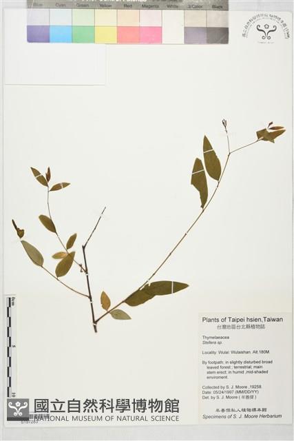 登錄號:S197283藏品圖，第1張