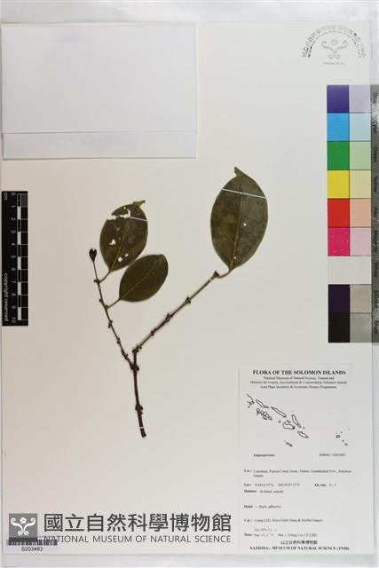 登錄號:S203483藏品圖，第1張