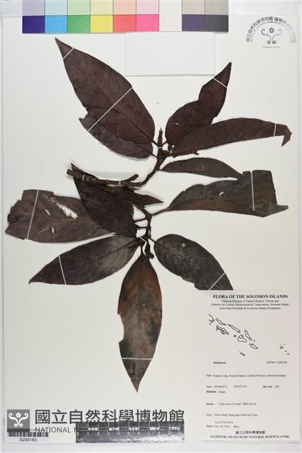 登錄號:S200183藏品圖，第1張