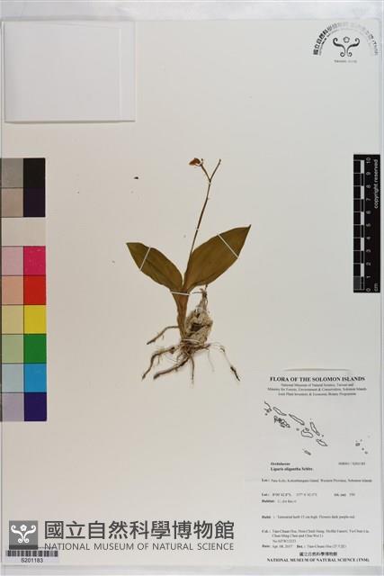 登錄號:S201183藏品圖，第1張