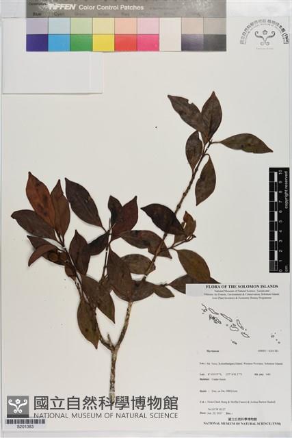 登錄號:S201383藏品圖，第1張