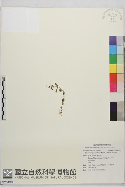 陌上草藏品圖，第1張