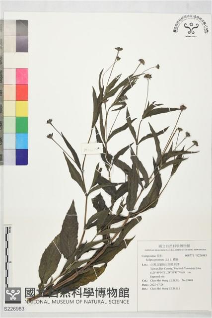 鱧腸藏品圖，第1張