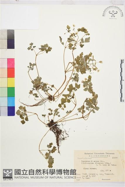 登錄號:S081983藏品圖，第1張