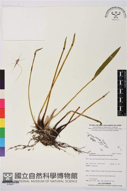 登錄號:S195627藏品圖，第1張