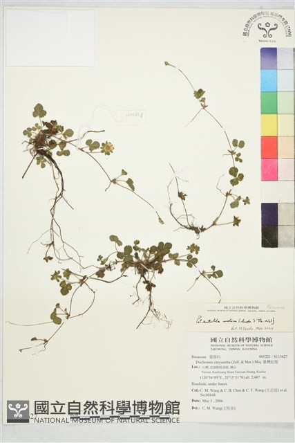 登錄號:S113627藏品圖，第1張