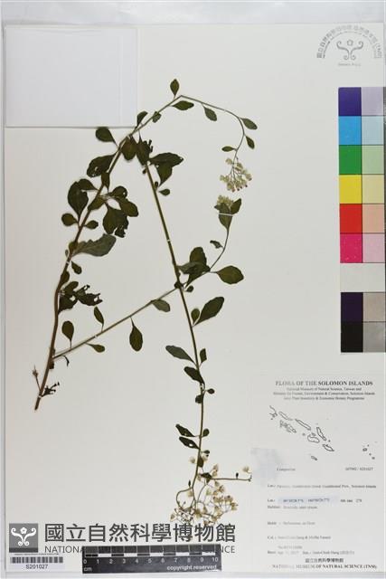 登錄號:S201027藏品圖，第1張