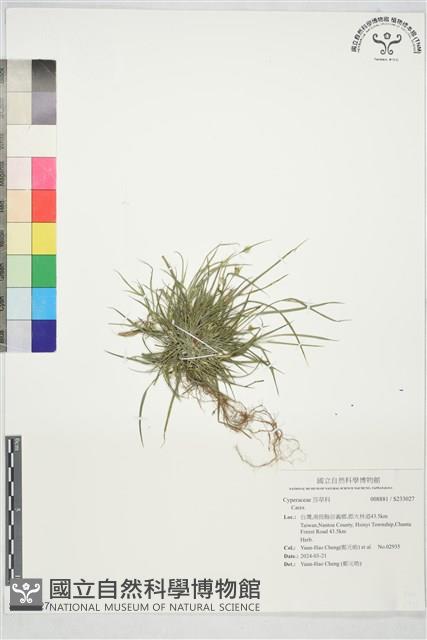 登錄號:S233027藏品圖，第1張