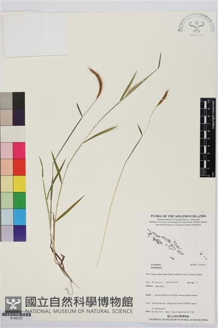 登錄號:S195727藏品圖，第1張