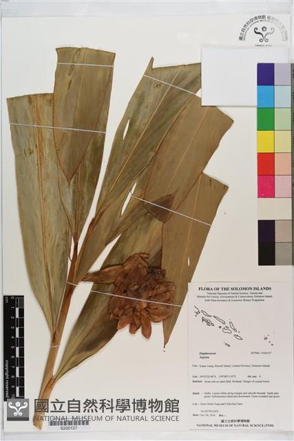 登錄號:S200127藏品圖，第1張