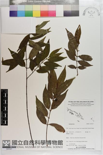 館號:S203327藏品圖，第1張