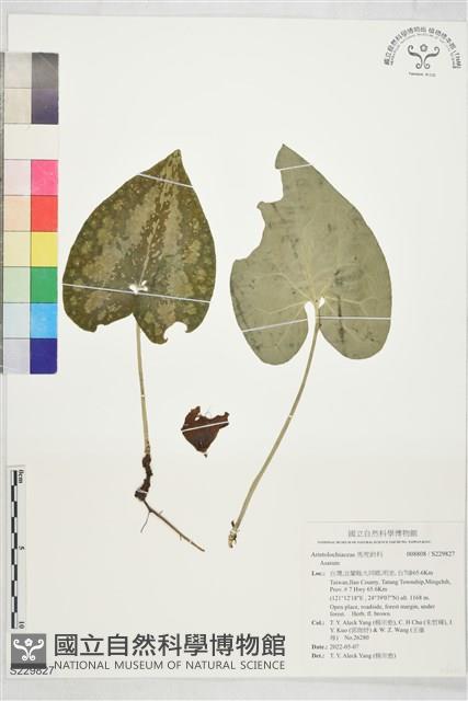 登錄號:S229827藏品圖，第1張