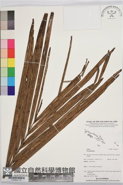 登錄號:S195927藏品圖，第1張