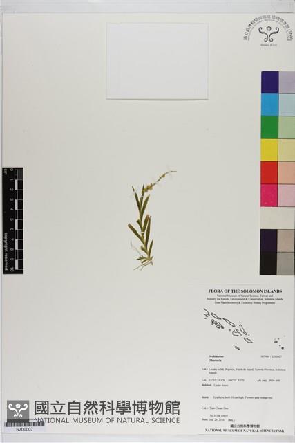 登錄號:S200007藏品圖，第1張