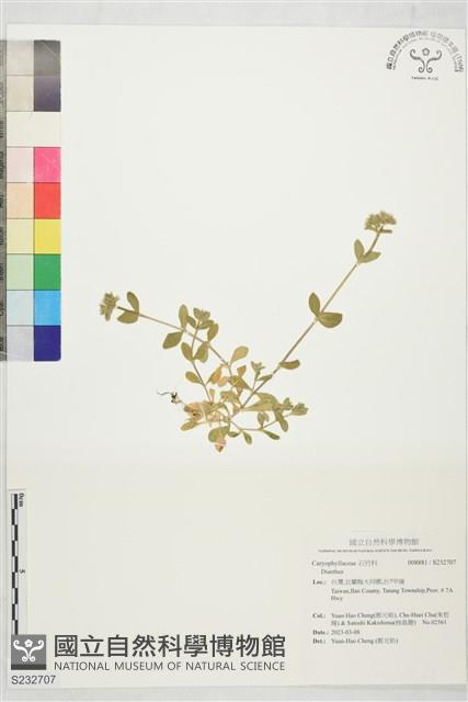 登錄號:S232707藏品圖，第1張