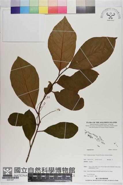 登錄號:S201207藏品圖，第1張