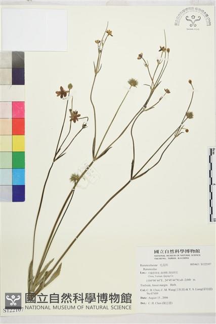 登錄號:S122107藏品圖，第1張