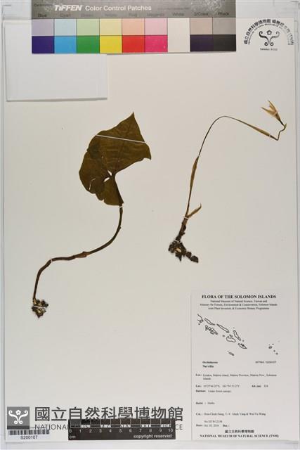 登錄號:S200107藏品圖，第1張