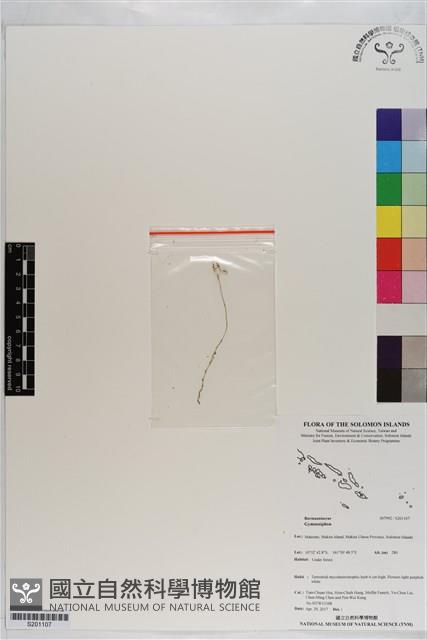 登錄號:S201107藏品圖，第1張