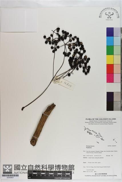 登錄號:S200907藏品圖，第1張