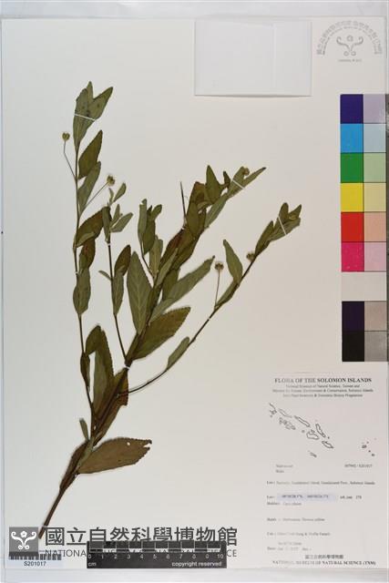 登錄號:S201017藏品圖，第1張