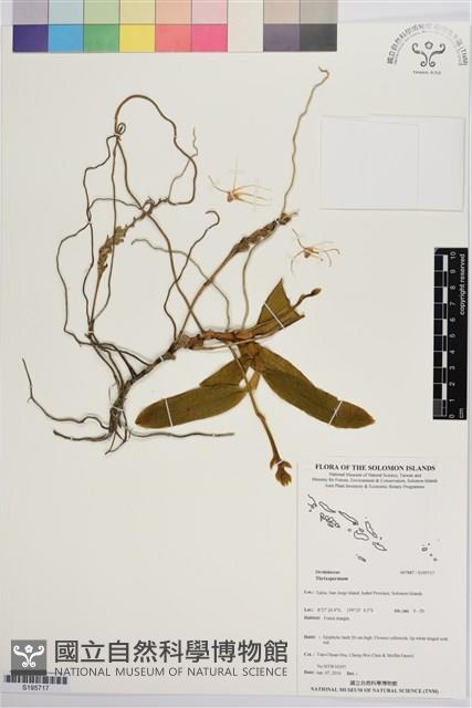 登錄號:S195717藏品圖，第1張