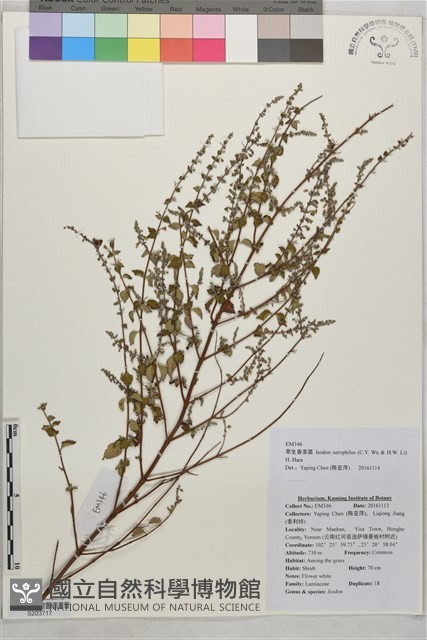 登錄號:S203717藏品圖，第1張