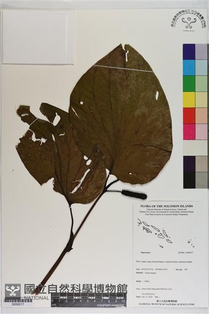 登錄號:S200217藏品圖，第1張