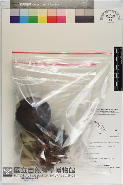 登錄號:S200117藏品圖，第1張