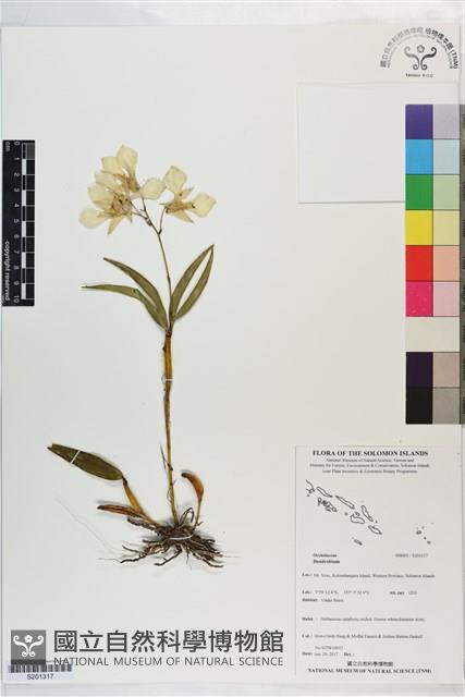 登錄號:S201317藏品圖，第1張