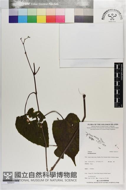 登錄號:S203317藏品圖，第1張
