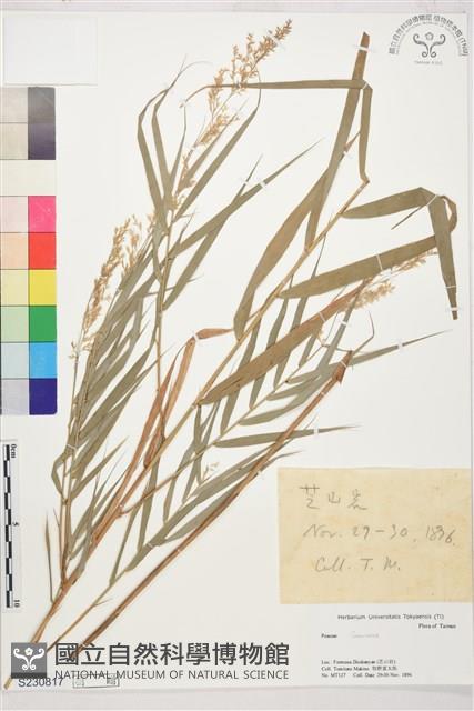 登錄號:S230817藏品圖，第1張