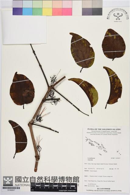 登錄號:S195657藏品圖，第1張