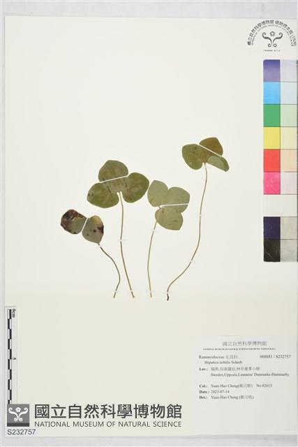 登錄號:S232757藏品圖，第1張