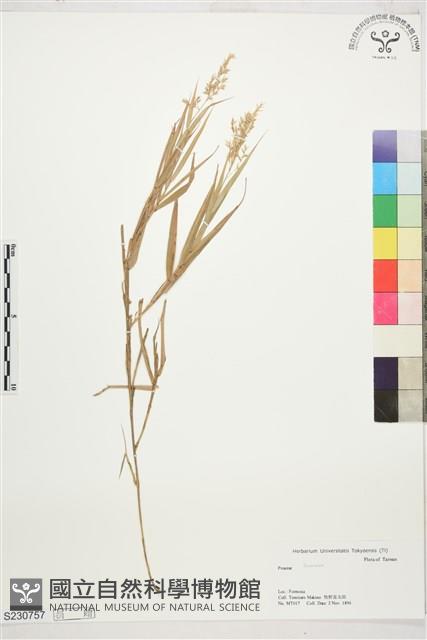 登錄號:S230757藏品圖，第1張