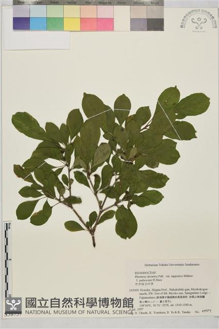 登錄號:S058757藏品圖，第1張