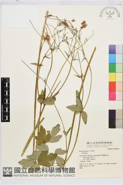 登錄號:S049257藏品圖，第1張