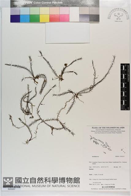 登錄號:S203257藏品圖，第1張