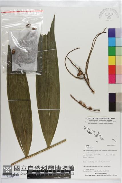 登錄號:S203157藏品圖，第1張