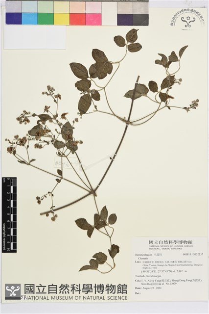 登錄號:S132357藏品圖，第1張