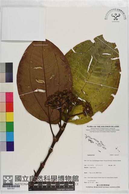 登錄號:S201357藏品圖，第1張