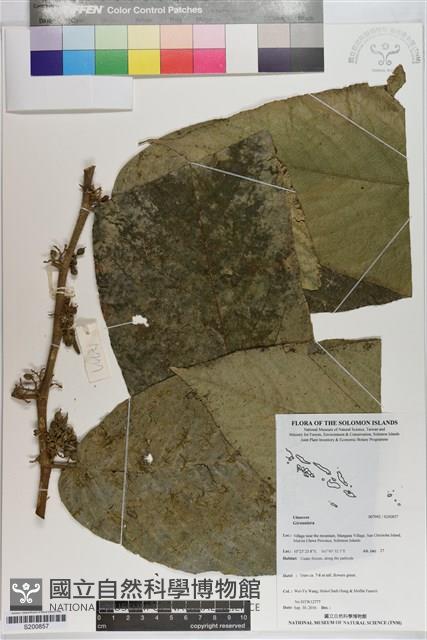 登錄號:S200857藏品圖，第1張