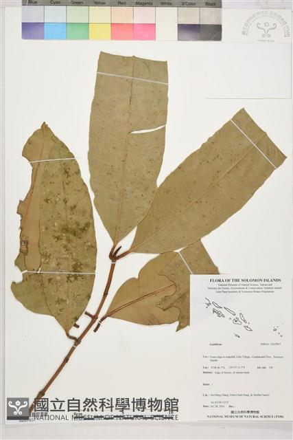 登錄號:S207857藏品圖，第1張